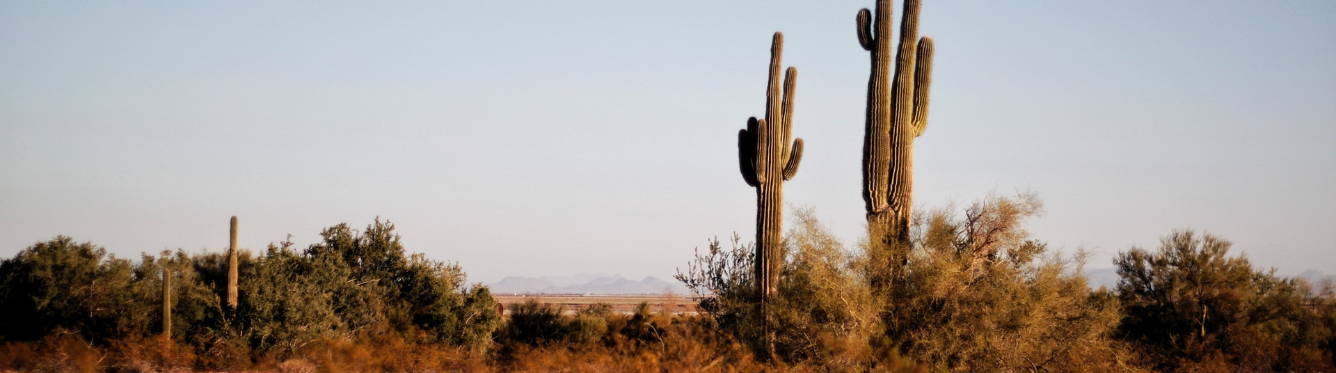 The Del Rio International Airport Convenience at the border