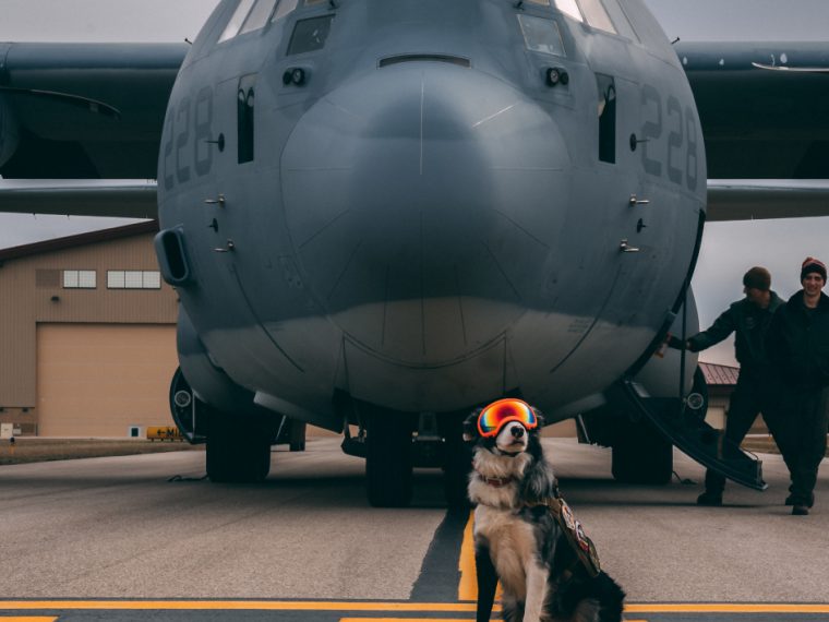 Yeager Airport dog in front of military plane on the runway.