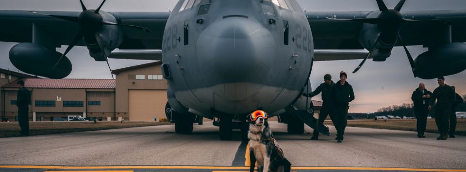 Yeager Airport dog in front of military plane on the runway.